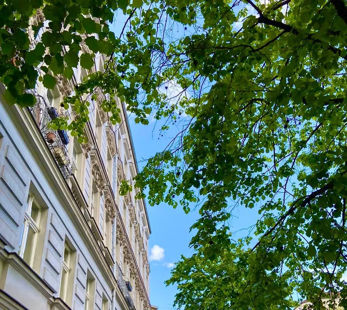 Prenzlauer Berg, Cozy Ground Floor Apartment Berlin